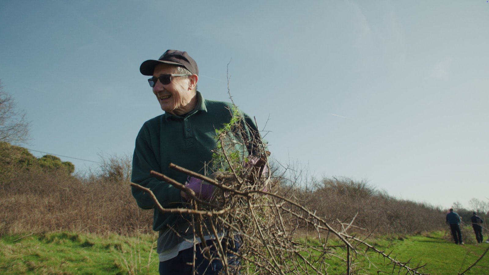 An older man in a cap and sunglasses carrying a bundle of cut thorny branches in a field