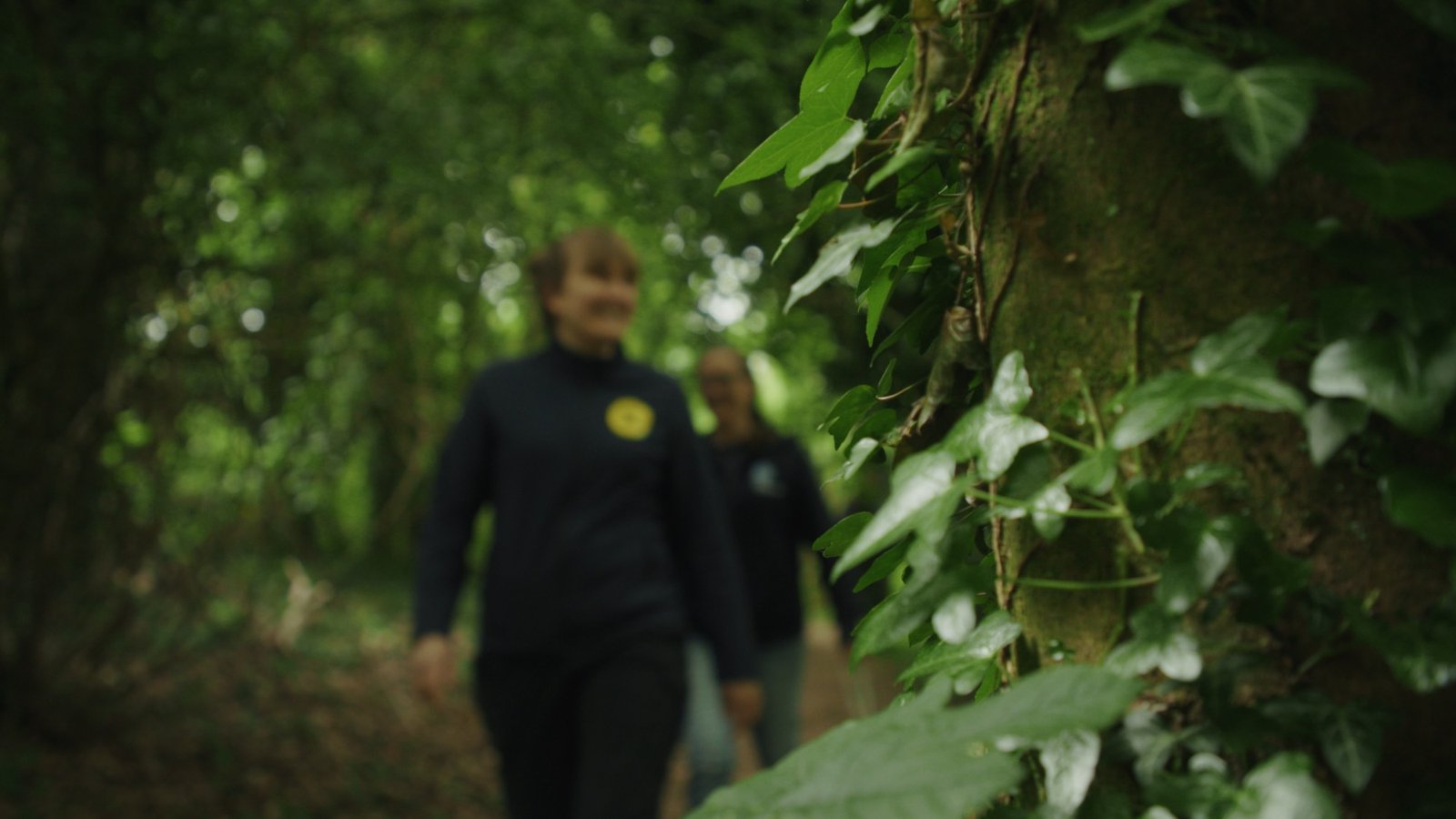 Two people walking a wooded footpath, with ivy climbing a tree in the foreground