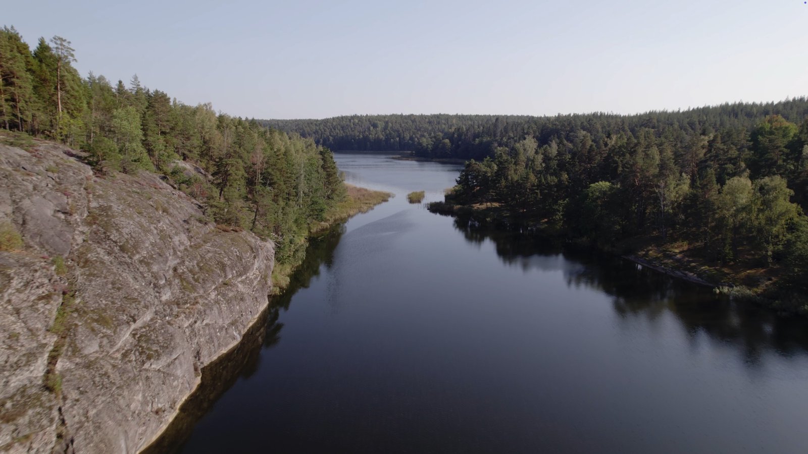 Aerial view of a calm lake bordered by dense pine forest